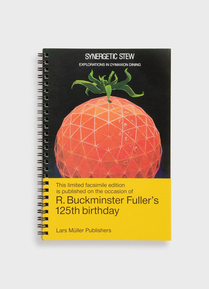 Synergetic Stew - Mast Books
