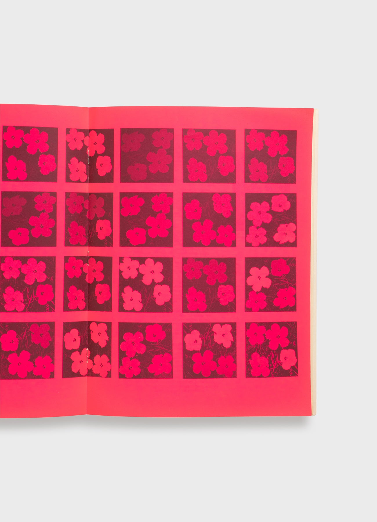 Andy Warhol/Institute of Contemporary Art – Mast Books